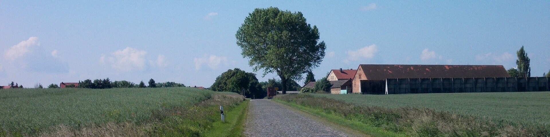 Alberstedt (Farnstädt, district: Saalekreis, Saxony-Anhalt) from the north