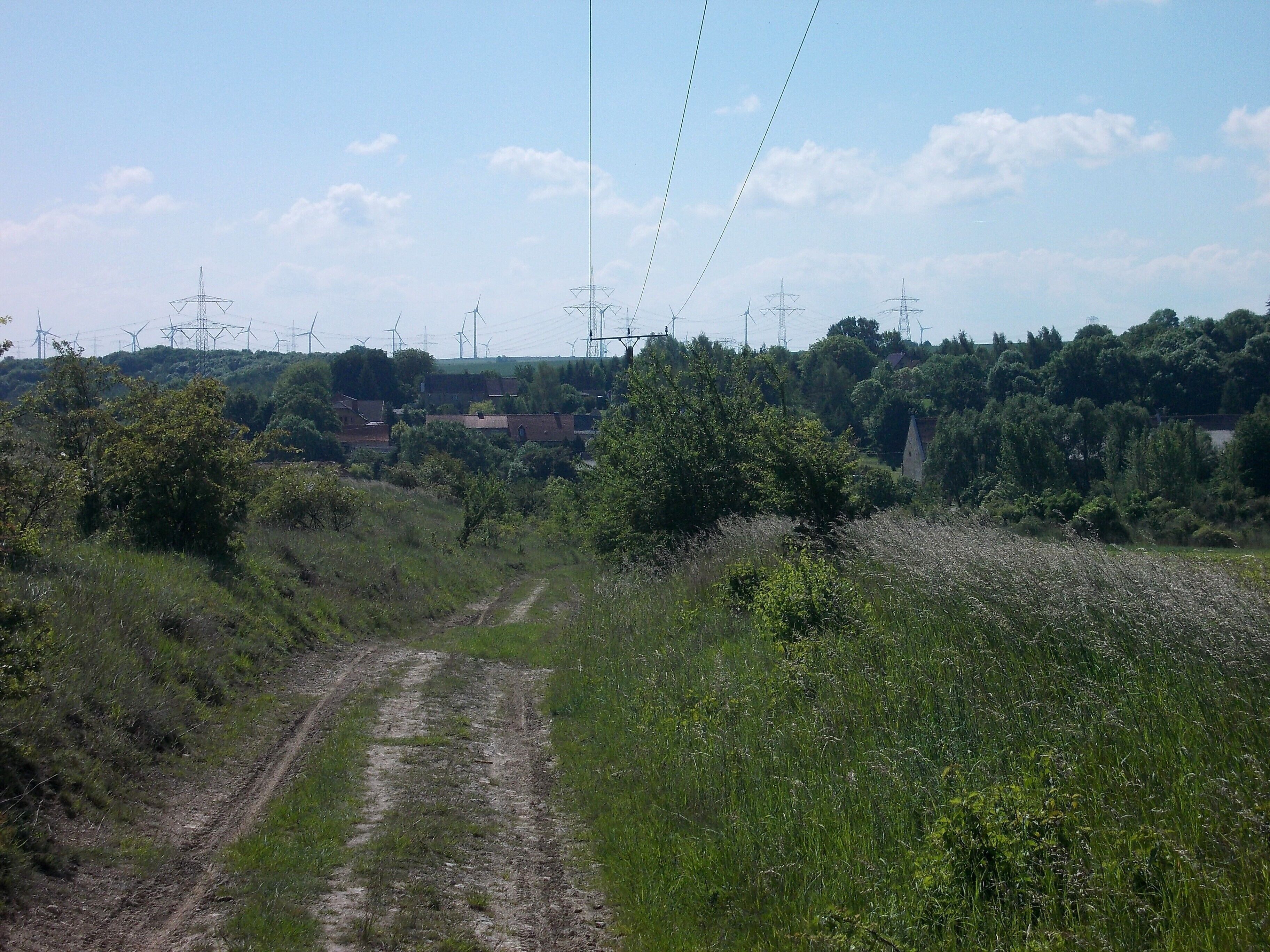 Schafsee (Schraplau, district: Saalekreis, Saxony-Anhalt) from the north-west