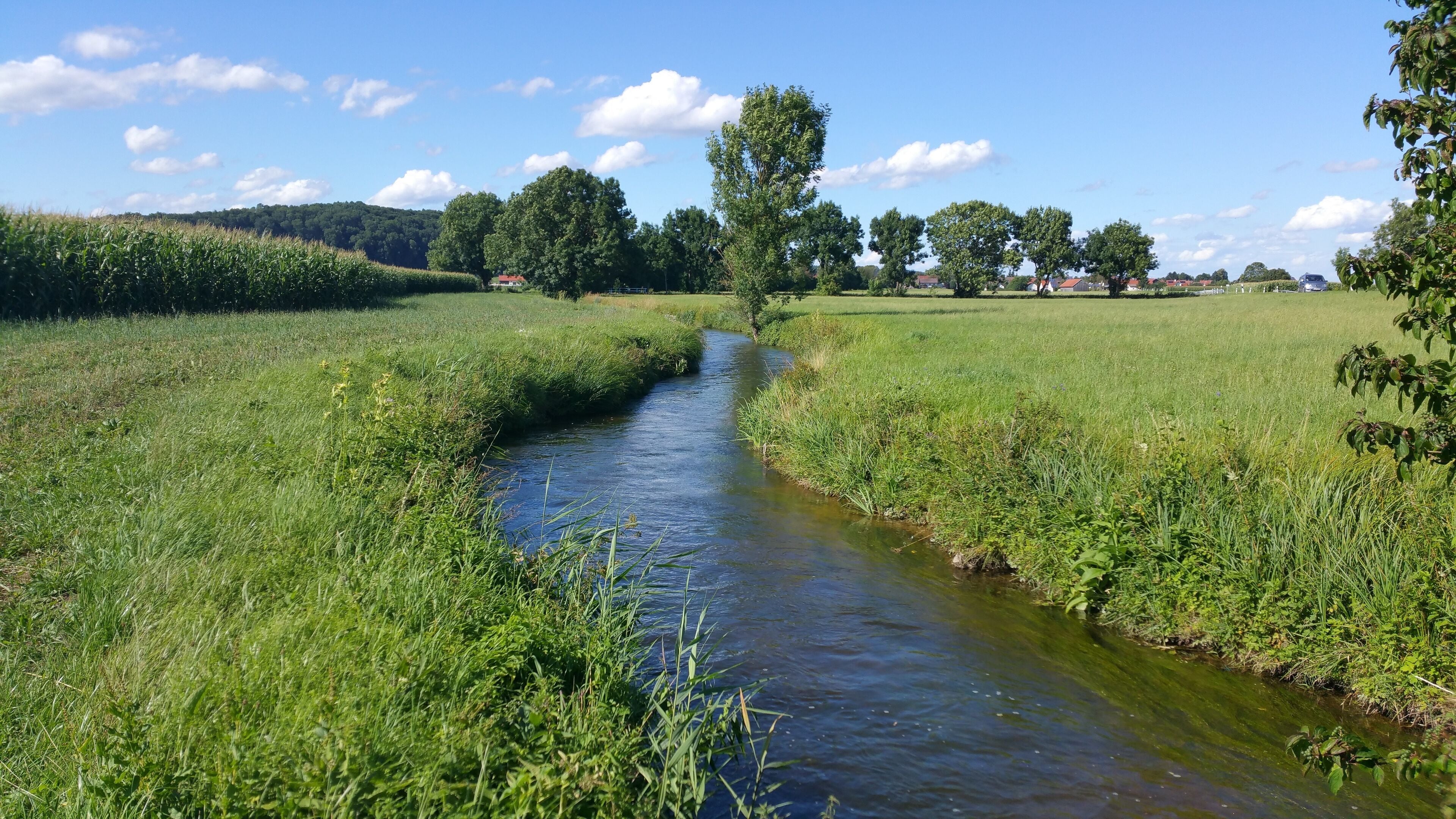 Mühlbach, aus Ettringen kommend, vor Siebnach