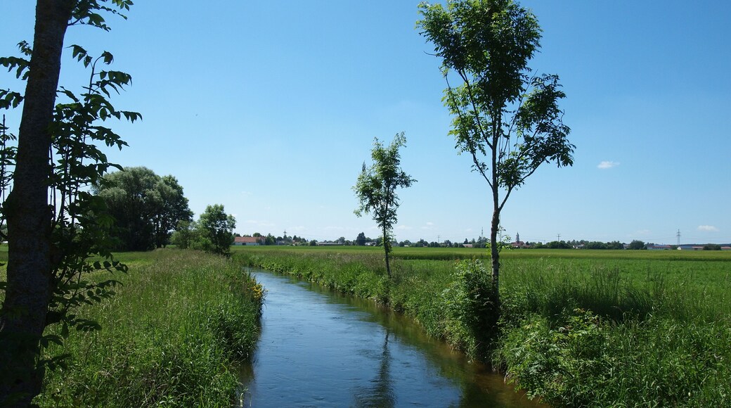 Mühlbach Ettringen, Blick Richtung Ettringen