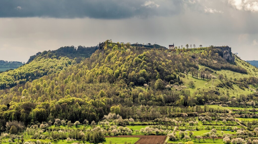 Ehrenbürg near Forchheim in the LSG "Franconian Switzerland - Veldenstein Forest"