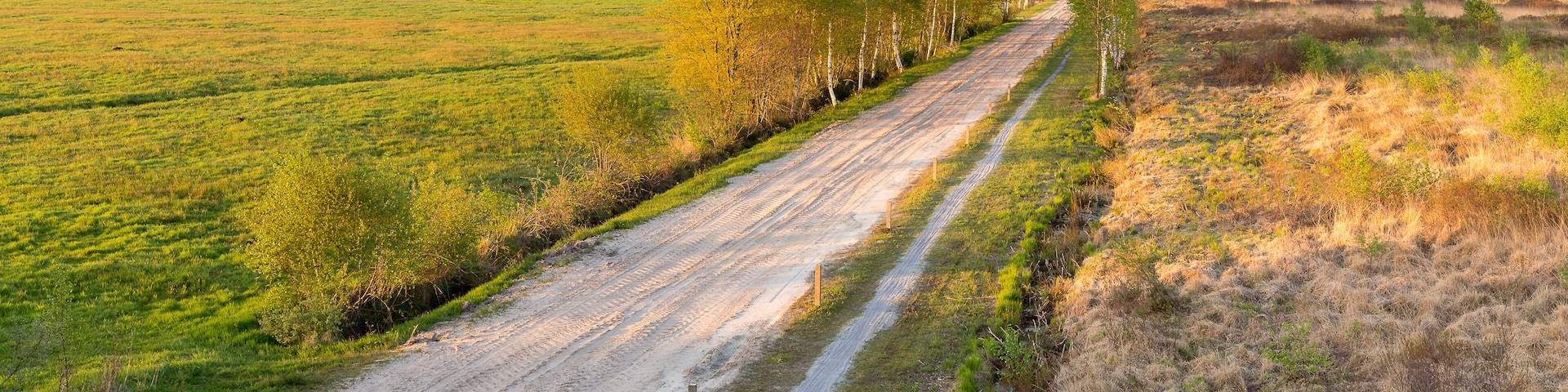 Road to the Lengener Meer