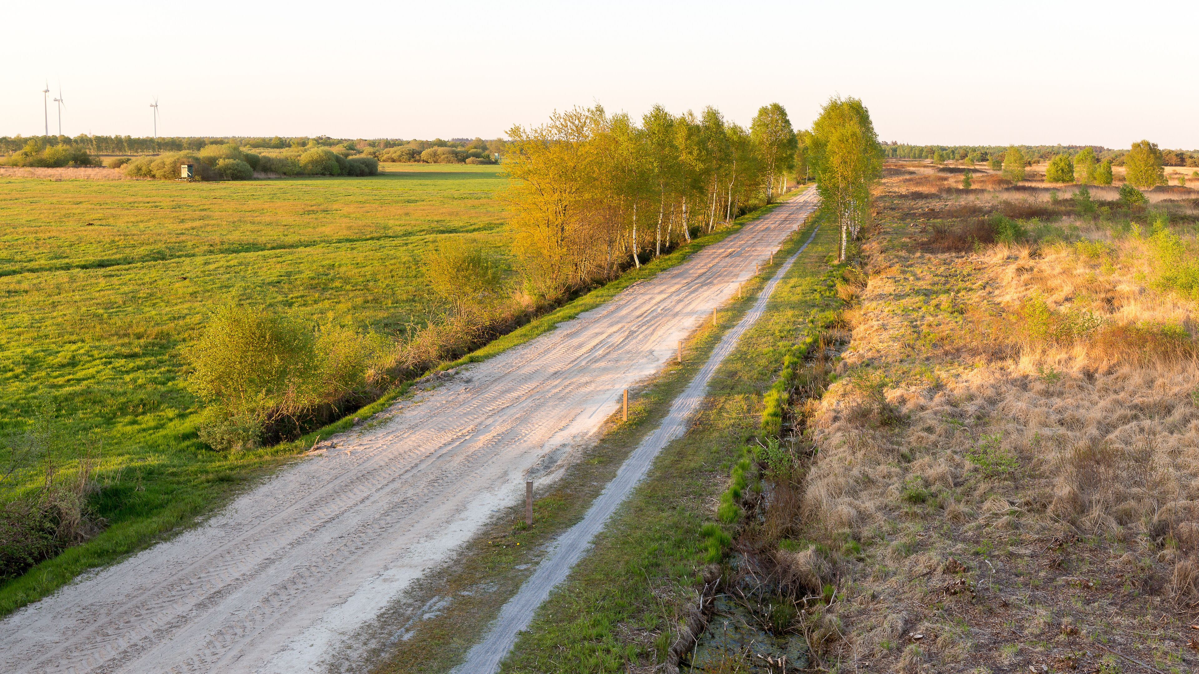 A dirt road flanked by trees and fields.