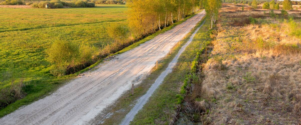 A dirt road flanked by trees and fields.
