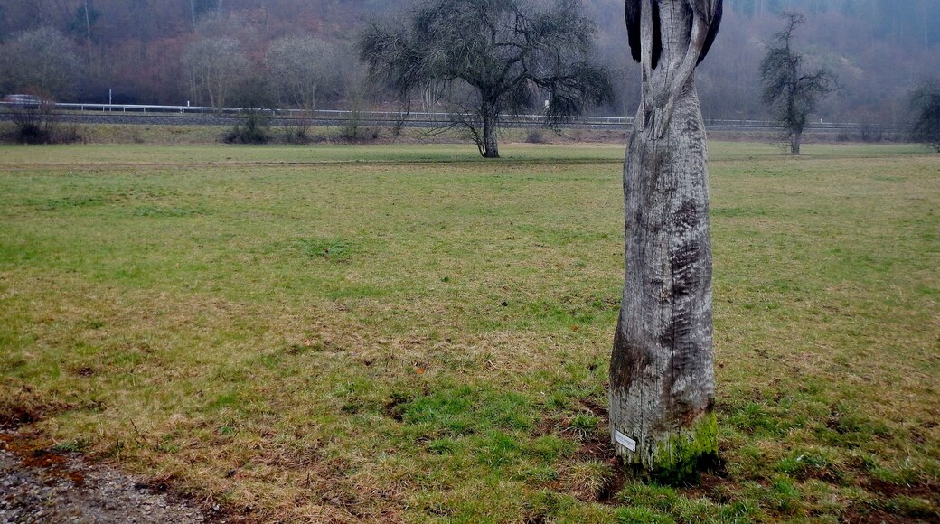 Eine Skulptur von Marco Braasch beim 366 km langen Neckartalradweg