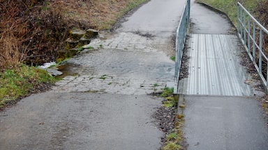 Un sentier pavé qui serpente à travers une zone boisée, avec un pont métallique enjambant un petit ruisseau.