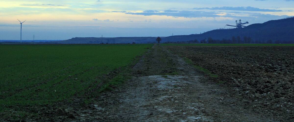 A rural landscape with a dirt path leading through fields, a wind turbine, and a helicopter in the distance.