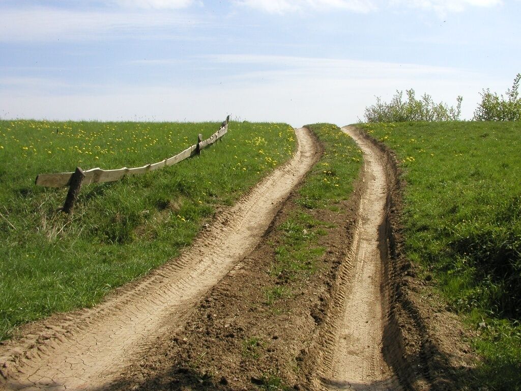 A dirt road curving through a grassy field with yellow flowers.