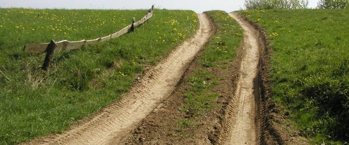 A dirt road curving through a grassy field with yellow flowers.