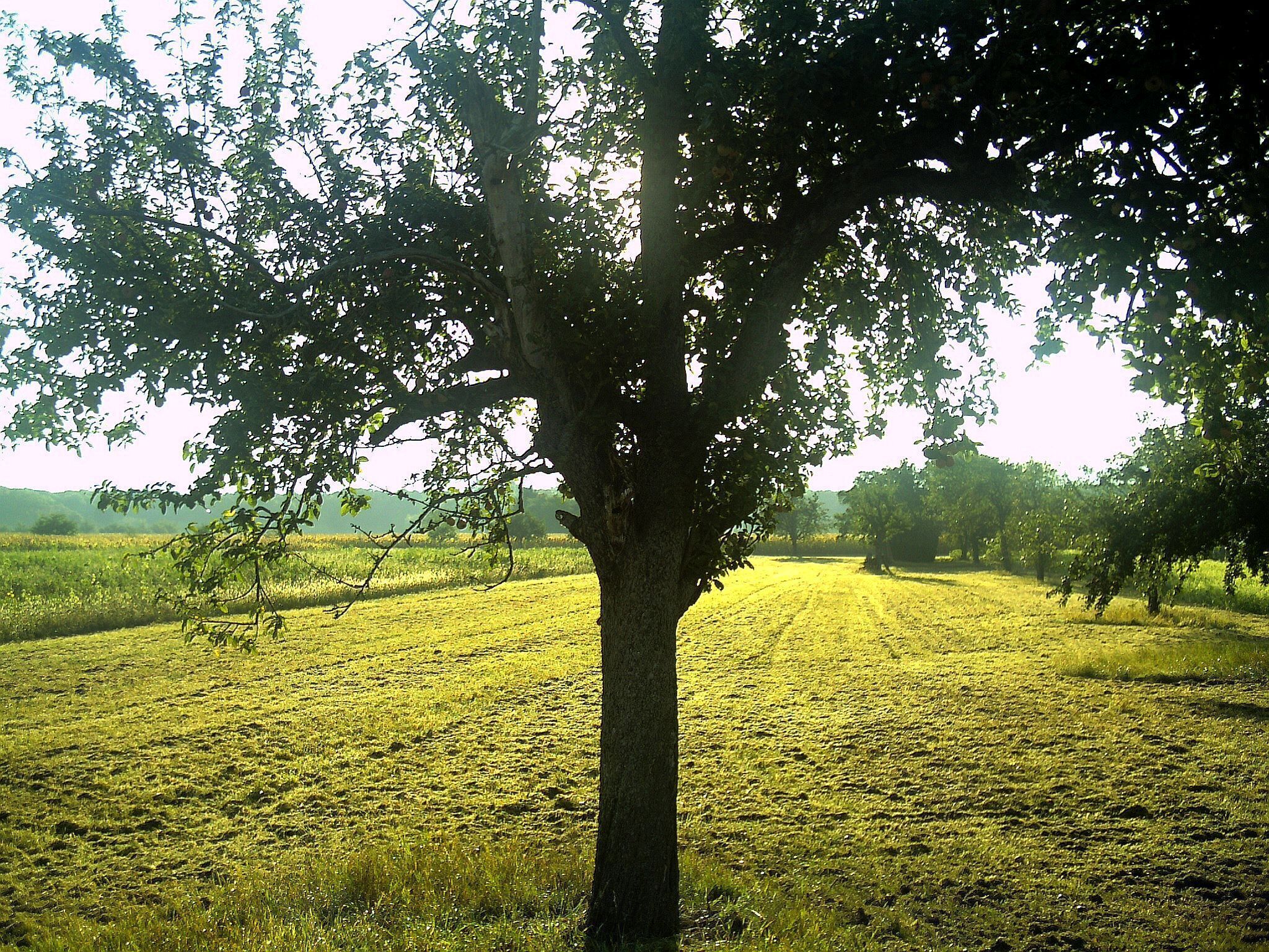 September Reute - Earth Photography 2016