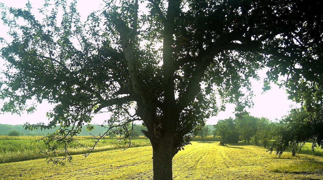 September Reute - Earth Photography 2016