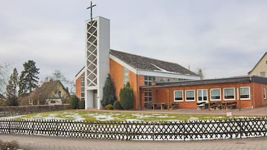 Sachsenhagen ist eine Stadt im Landkreis Schaumburg in Niedersachsen und als Gemeinde Teil der Samtgemeinde Sachsenhagen.