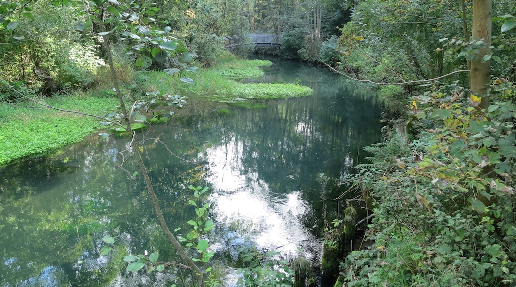 Abfluss des Rhumequelltopfs: Die Rhume