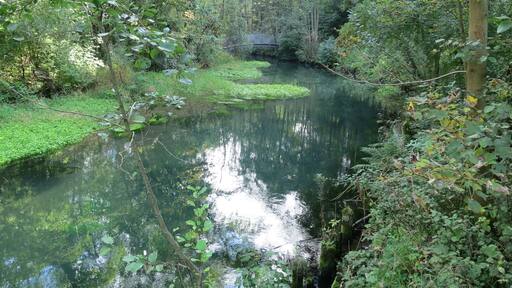Abfluss des Rhumequelltopfs: Die Rhume