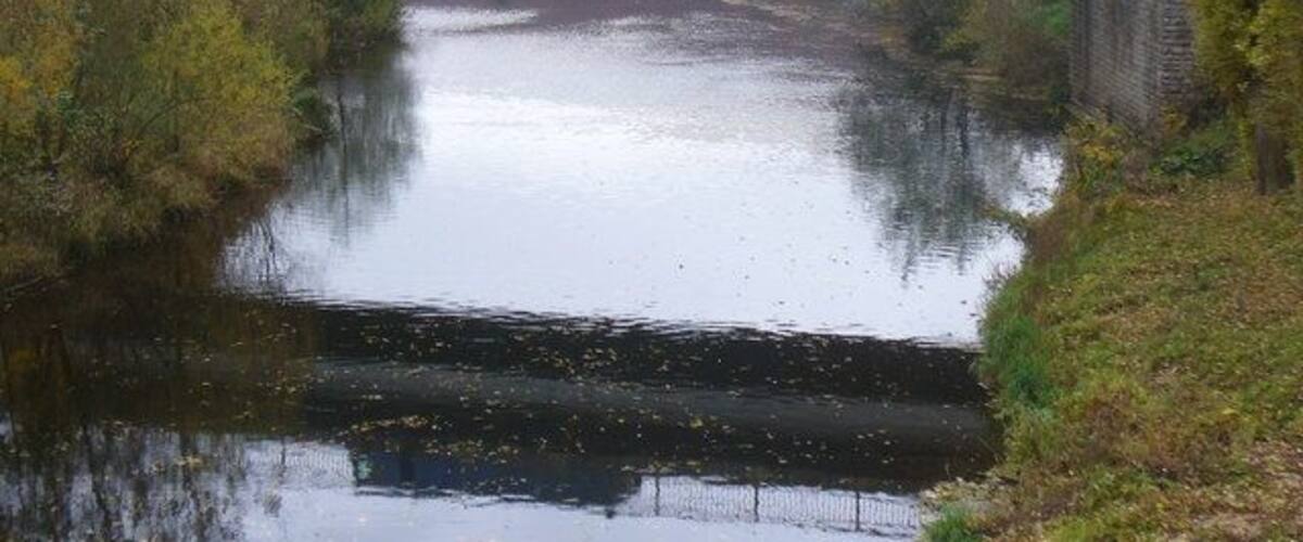 A blue truck crossing a bridge over a river with surrounding greenery.