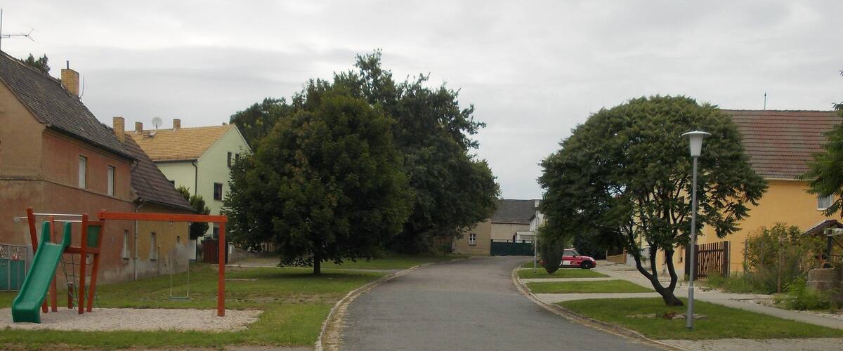 A quiet residential street with houses, a playground, and trees.