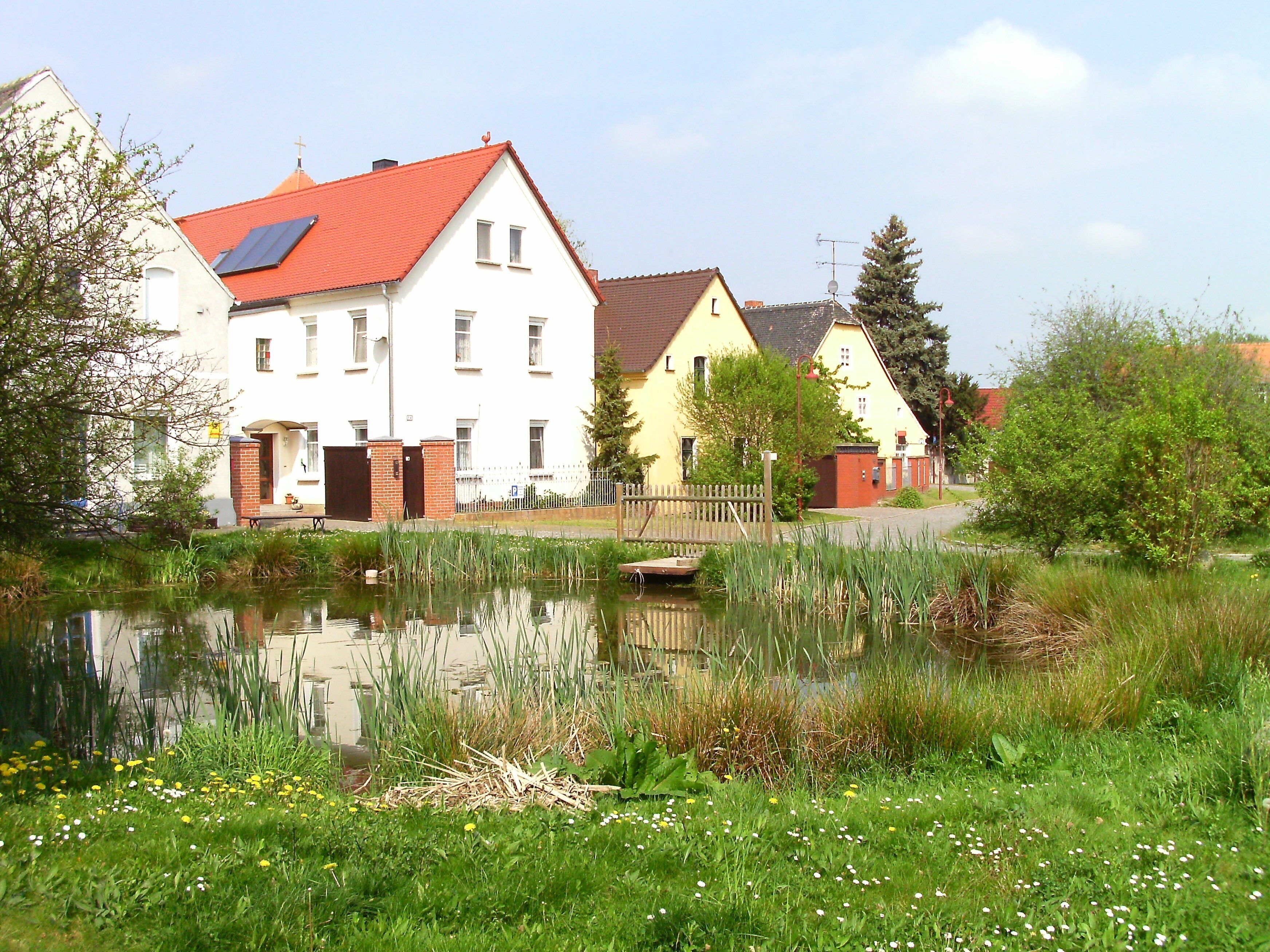 Pond in Wölpern (Jesewitz, Nordsachsen district, Saxony)