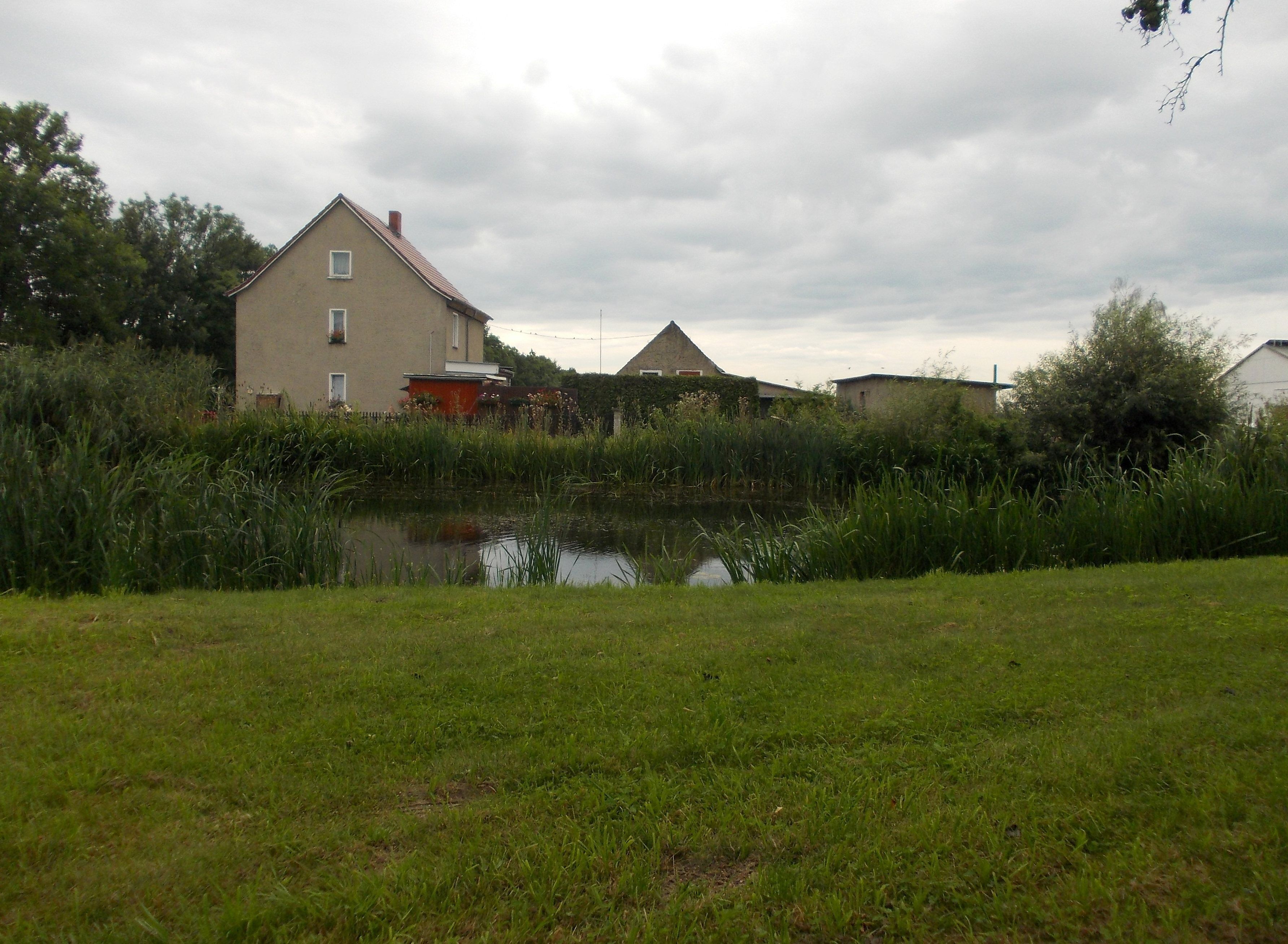 Pond in Ochelmitz (Jesewitz, Nordsachsen district, Saxony)
