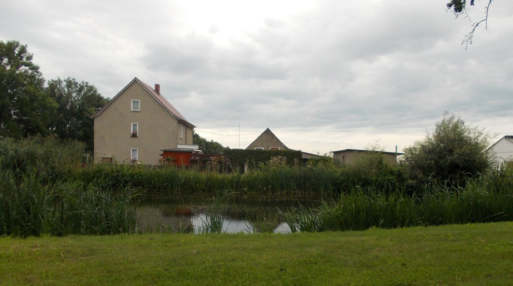 Pond in Ochelmitz (Jesewitz, Nordsachsen district, Saxony)
