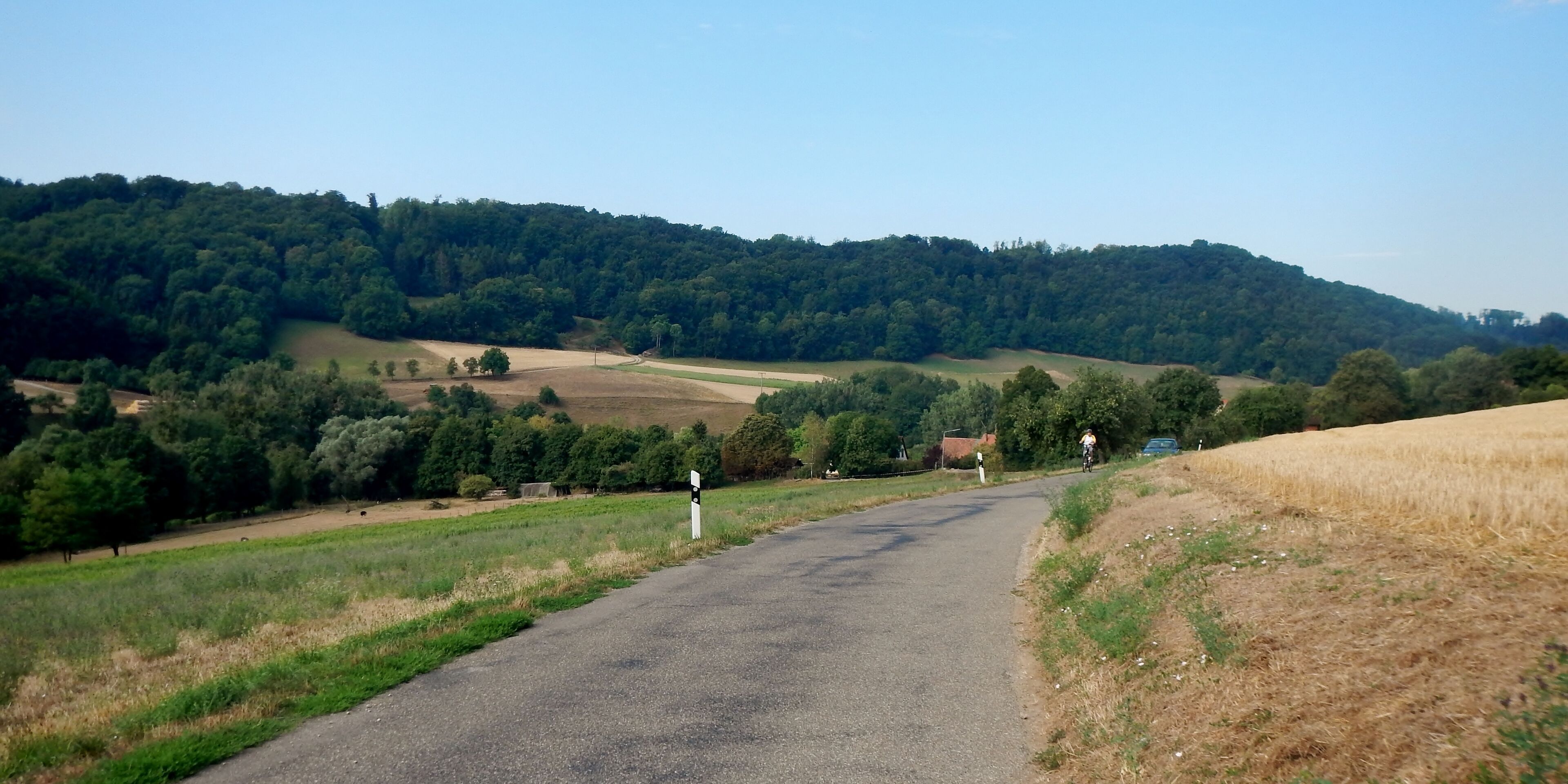 A rural road winding through fields, with a forested hill in the background.