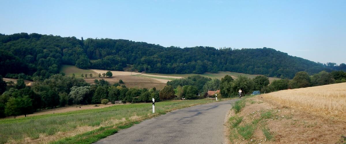A rural road winding through fields, with a forested hill in the background.
