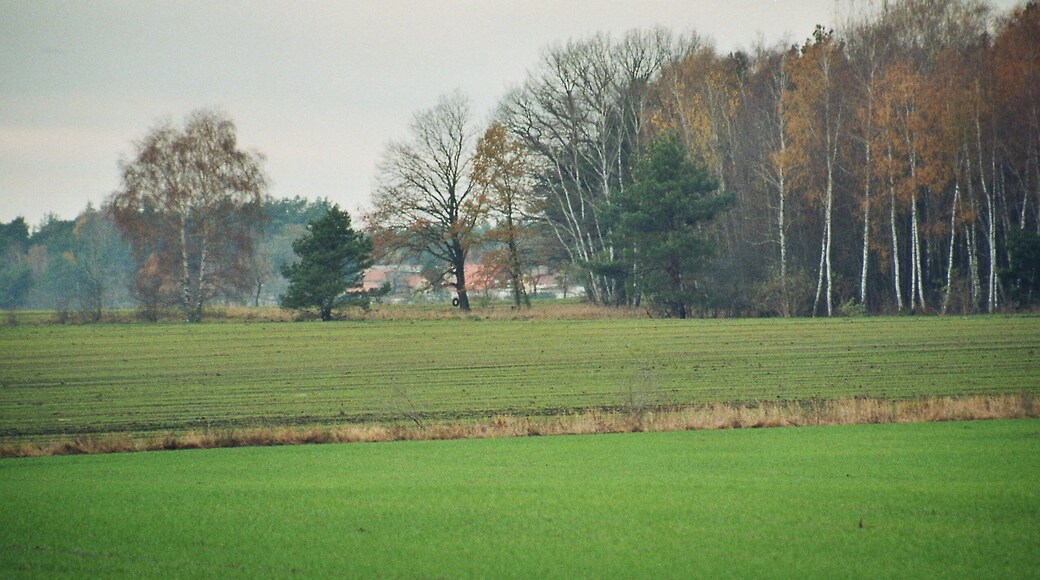 Schilda (Brandenburg), landscape
