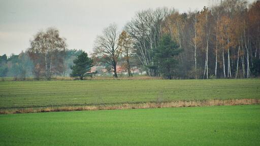Schilda (Brandenburg), landscape