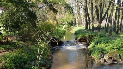 This is a picture of the protected area listed at WDPA under the ID