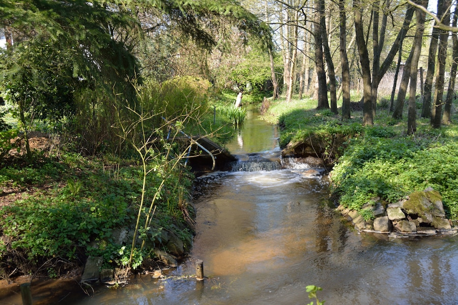 A small stream flowing through a wooded area with dense foliage and trees.