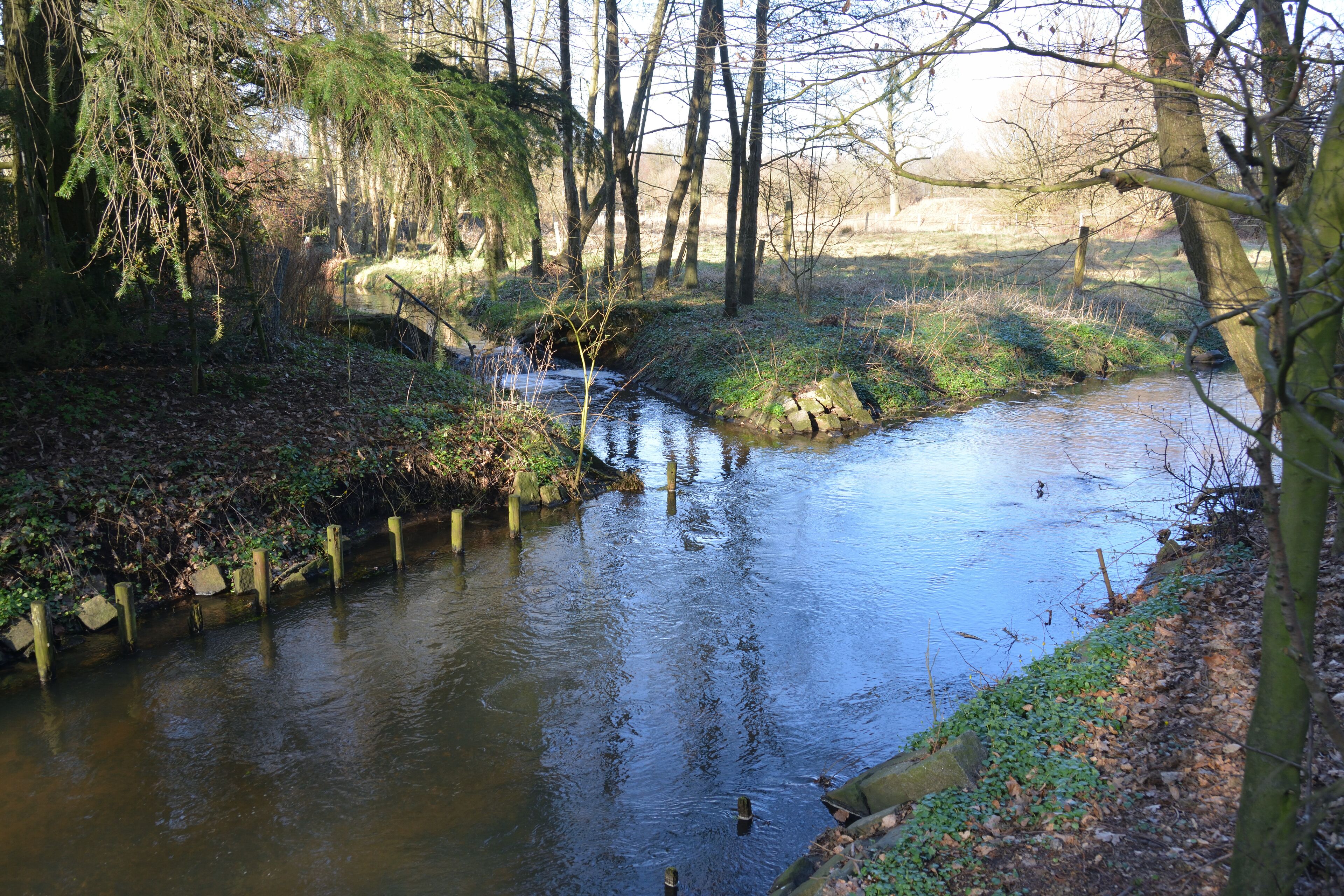 Die Mündung der Sünderbek in die Stör