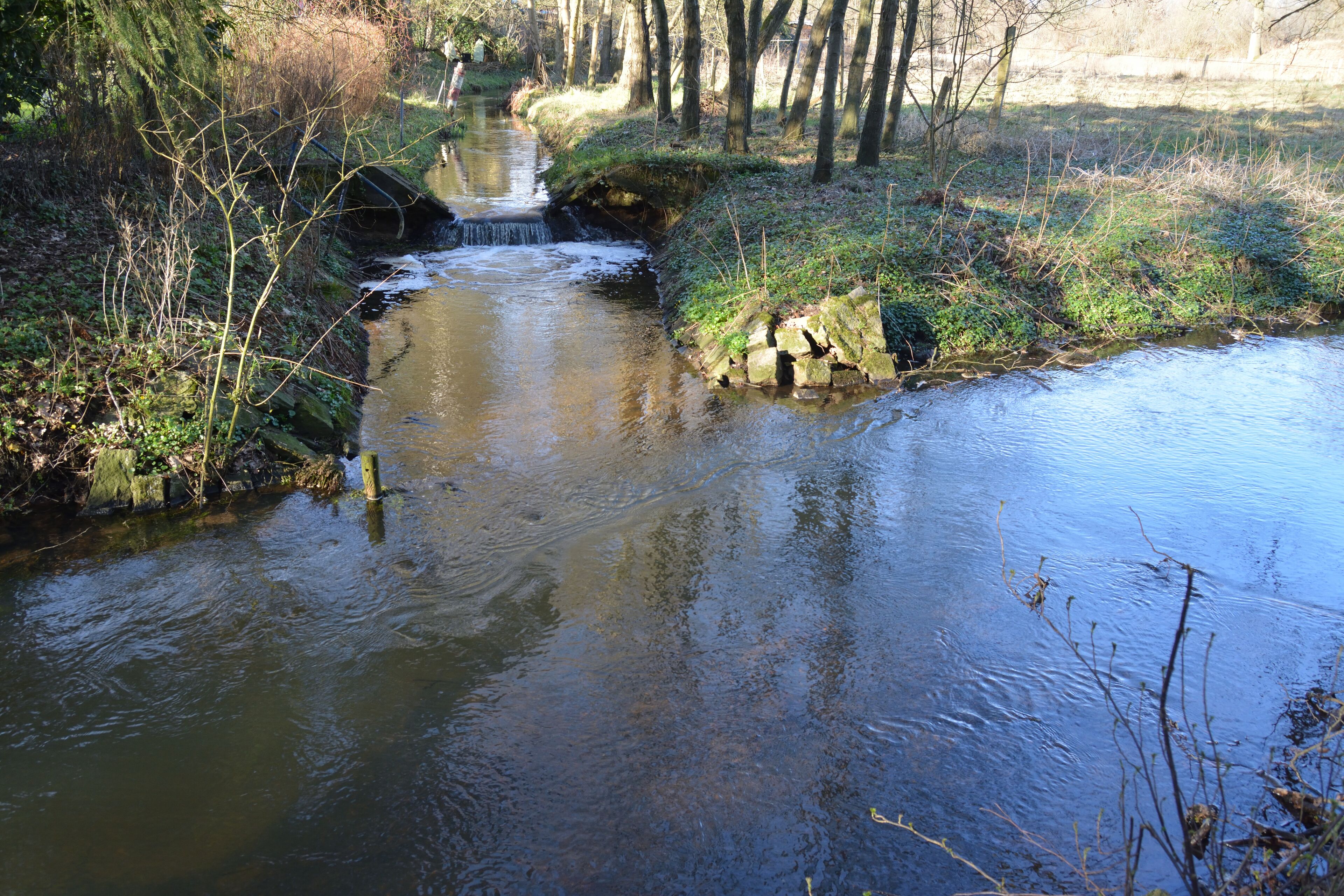 Die Mündung der Sünderbek in die Stör