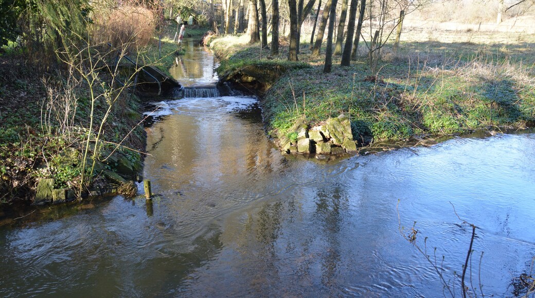 Die Mündung der Sünderbek in die Stör