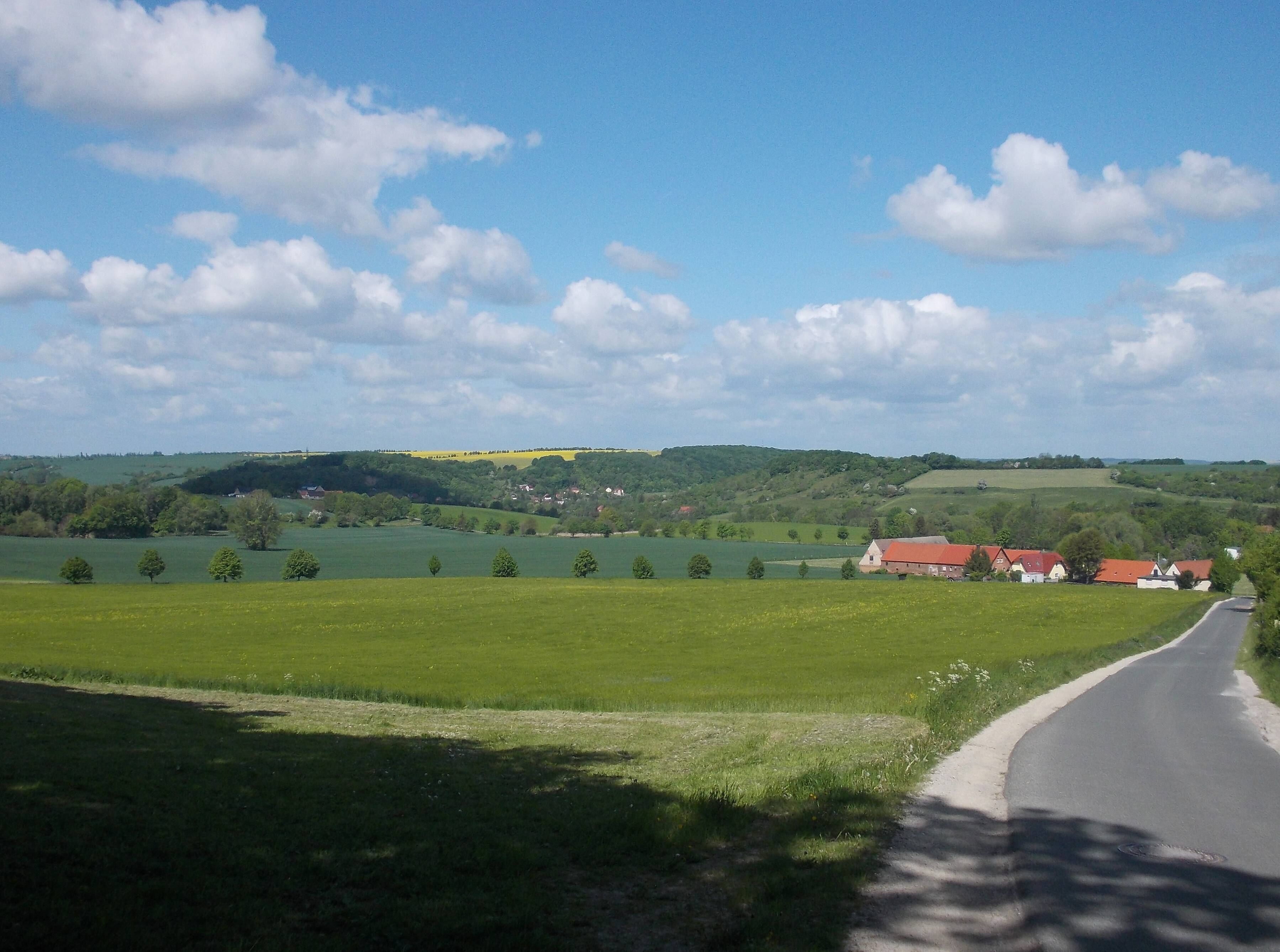 Landscape near Rathewitz (Mertendorf, district:Burgenlandkreis, Saxony-Anhalt) in the Saale-Unstrut-Triasland Nature Park