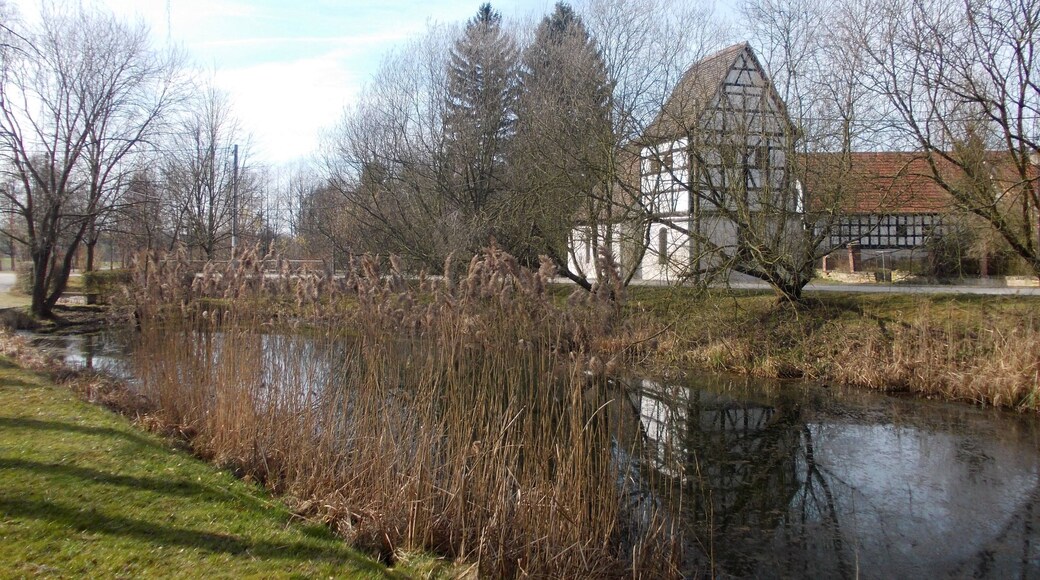 Pond in Rathewitz (Mertendorf, district: Burgenlandkreis, Saxony-Anhalt)