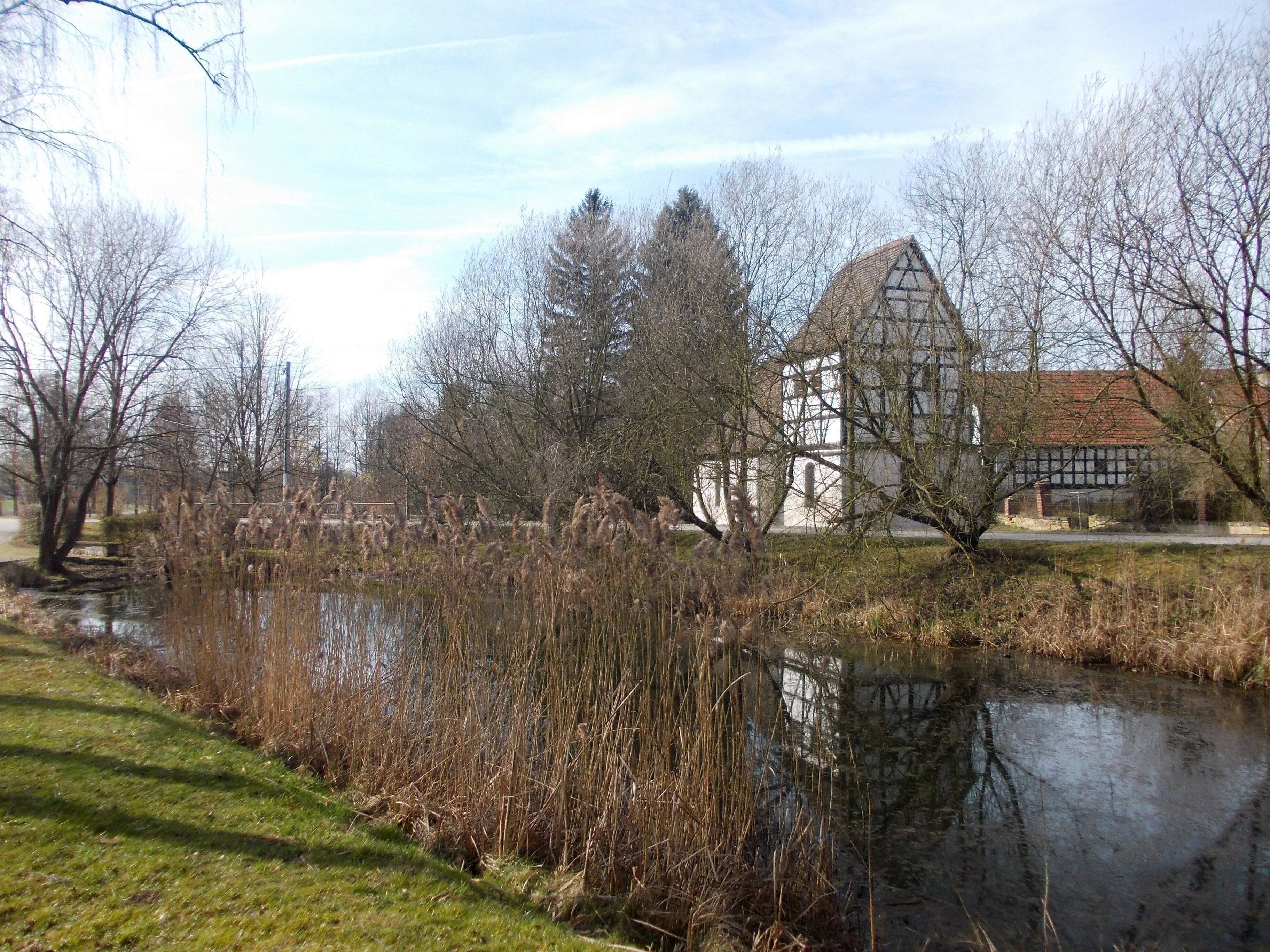 A riverside view with a traditional half-timbered house, trees, and reeds.