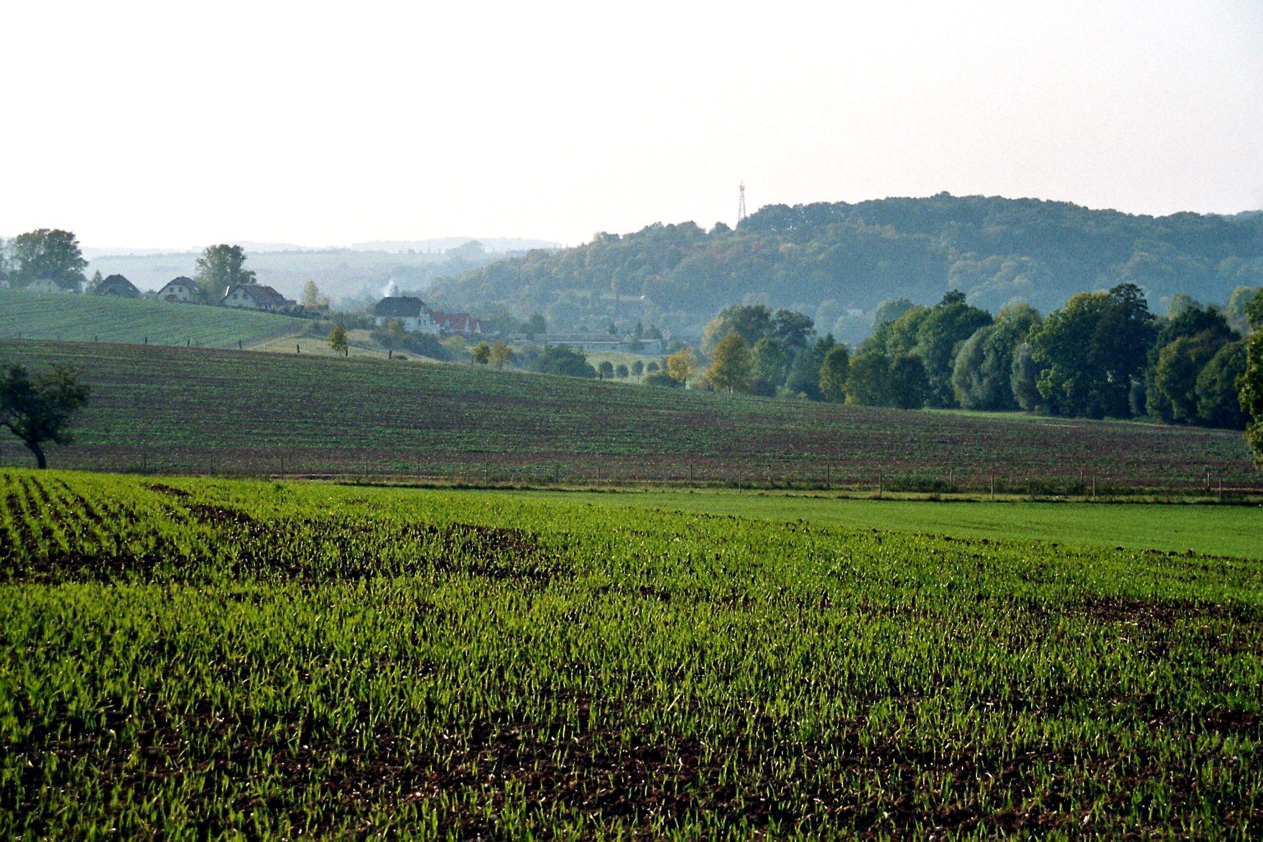 Mertendorf, landscape