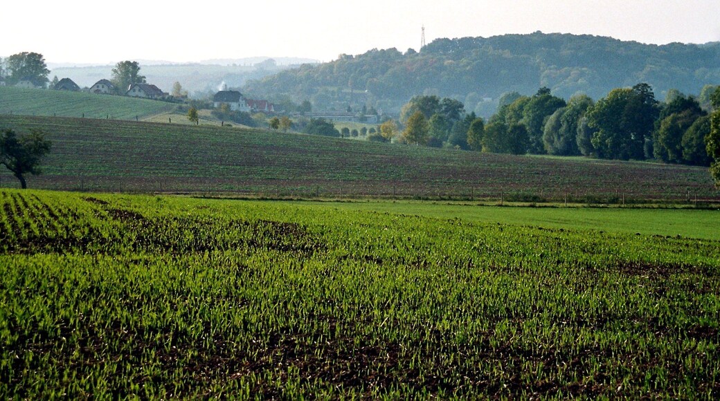 Mertendorf, landscape