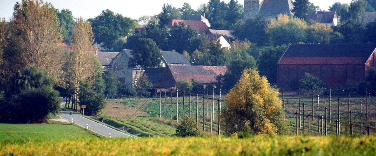 Görschen (Mertendorf), view to the village