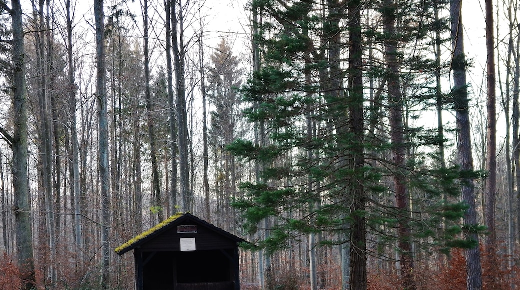 Grillplatz Weißes Häusle im Naturpark Schönbuch