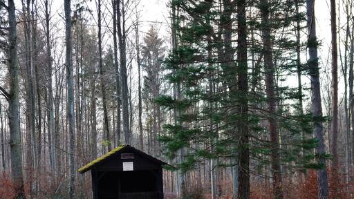 Grillplatz Weißes Häusle im Naturpark Schönbuch