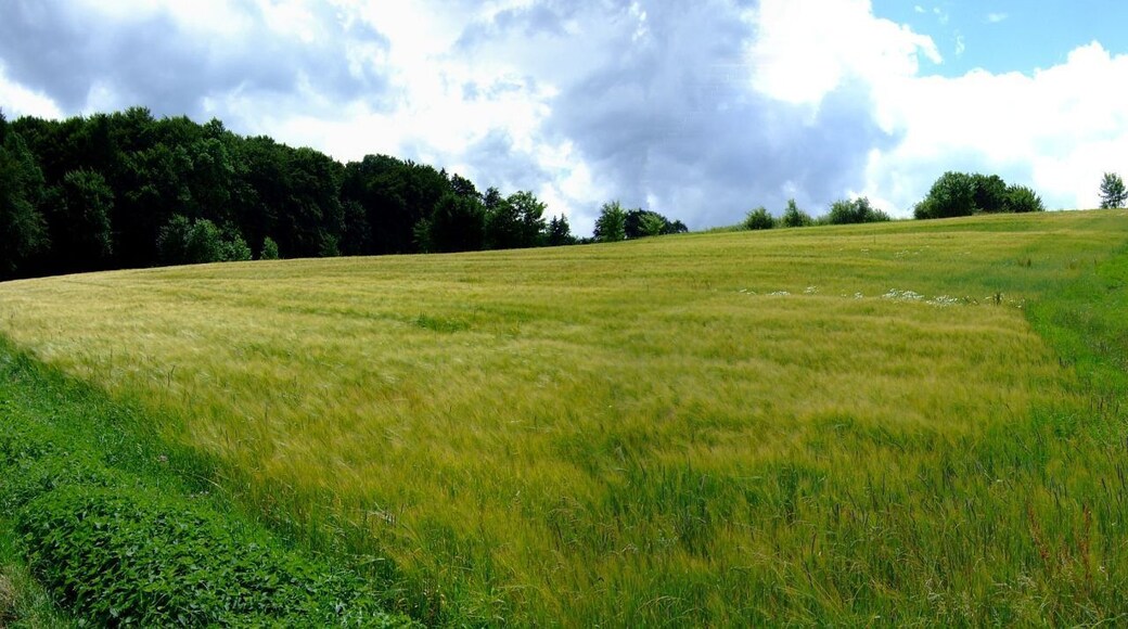 Schwäbische Alb bei Westernheim