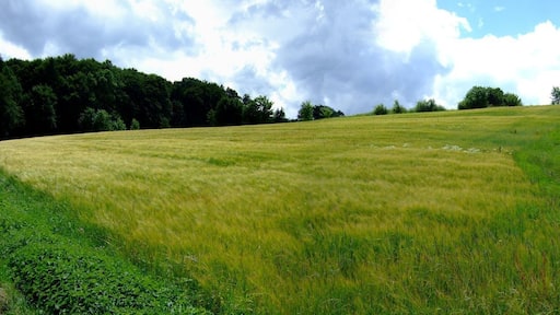Schwäbische Alb bei Westernheim