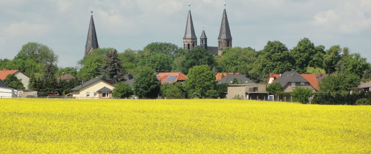 A field of yellow flowers, a church with three spires, and houses in the background.