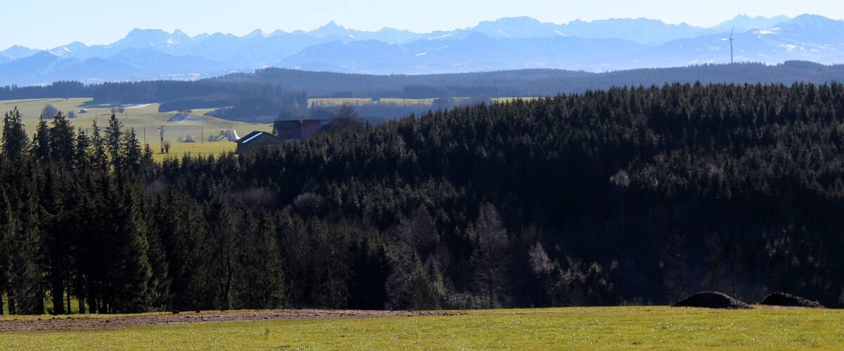 A mountainous landscape with a forested area and a wind turbine.