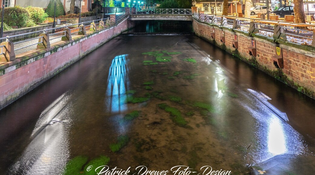 Erbach im Odenwald im Herbst