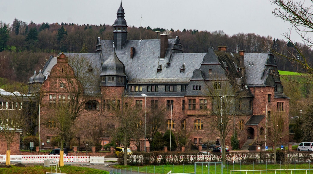 old german palace. Erbach in Odenwald