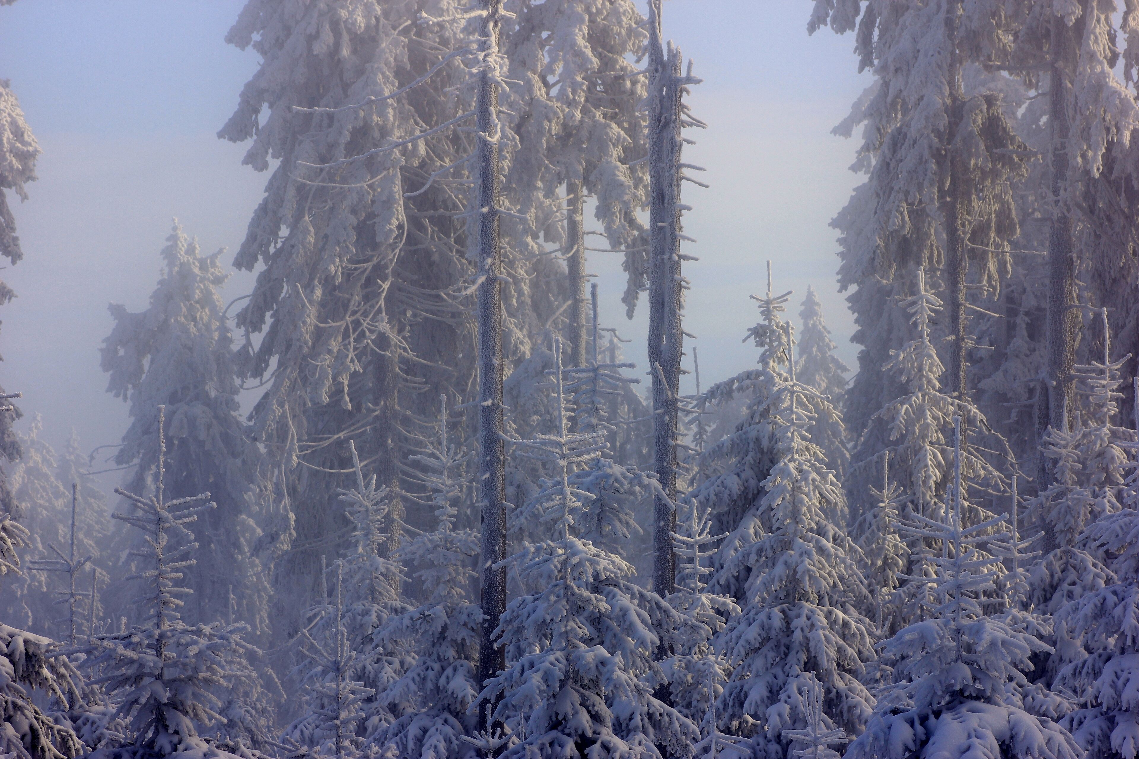 This is a picture of the protected area listed at WDPA under the ID