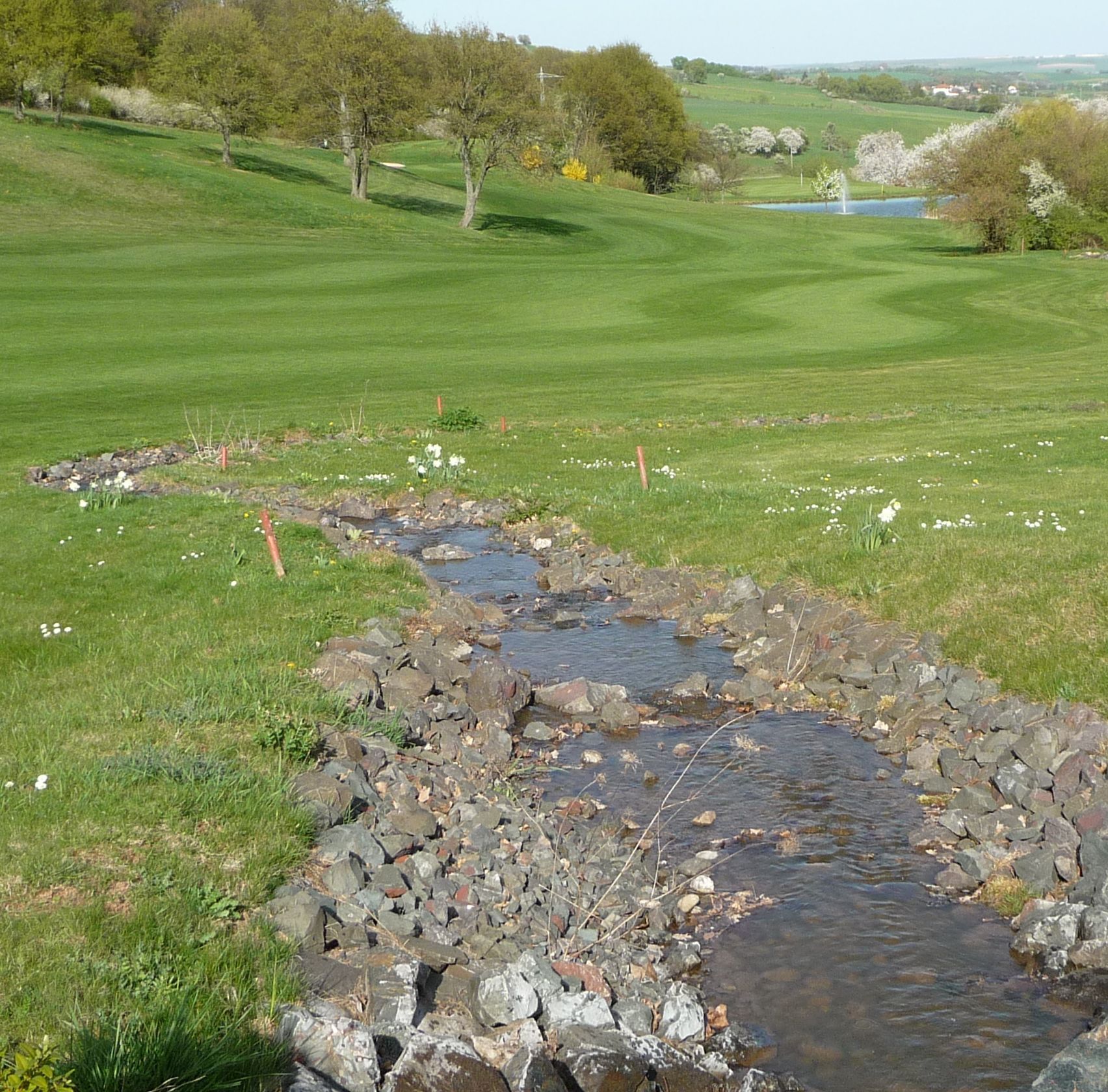 Wer ist der beste Golfer der Welt?