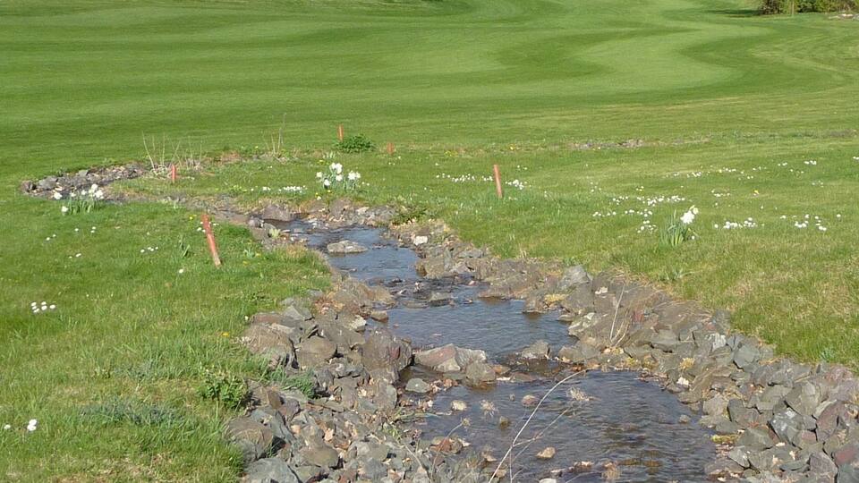 A stream crossing a grassy field with a golf course in the background.
