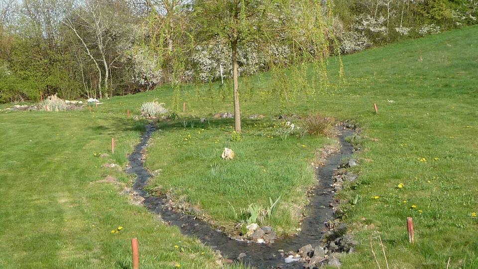 A grassy field with a small stream and a tree in the center.